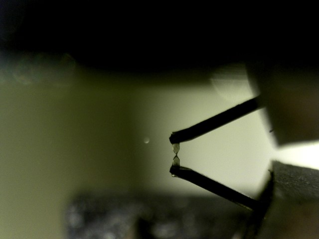 5. high SRA 20120819205959